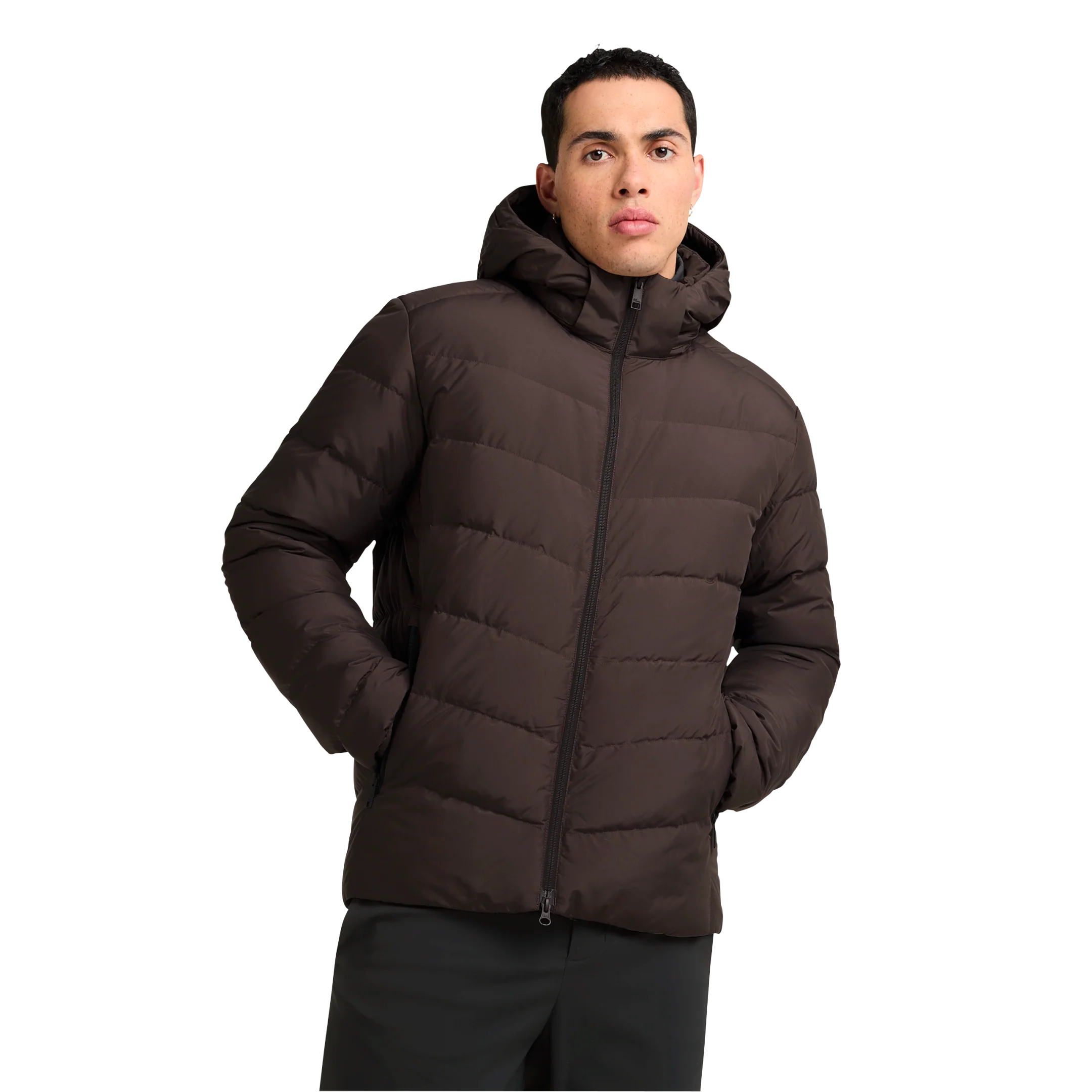 COLONIUS JKT M RDS - Image 15