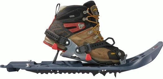 Evo Trail - Image 5