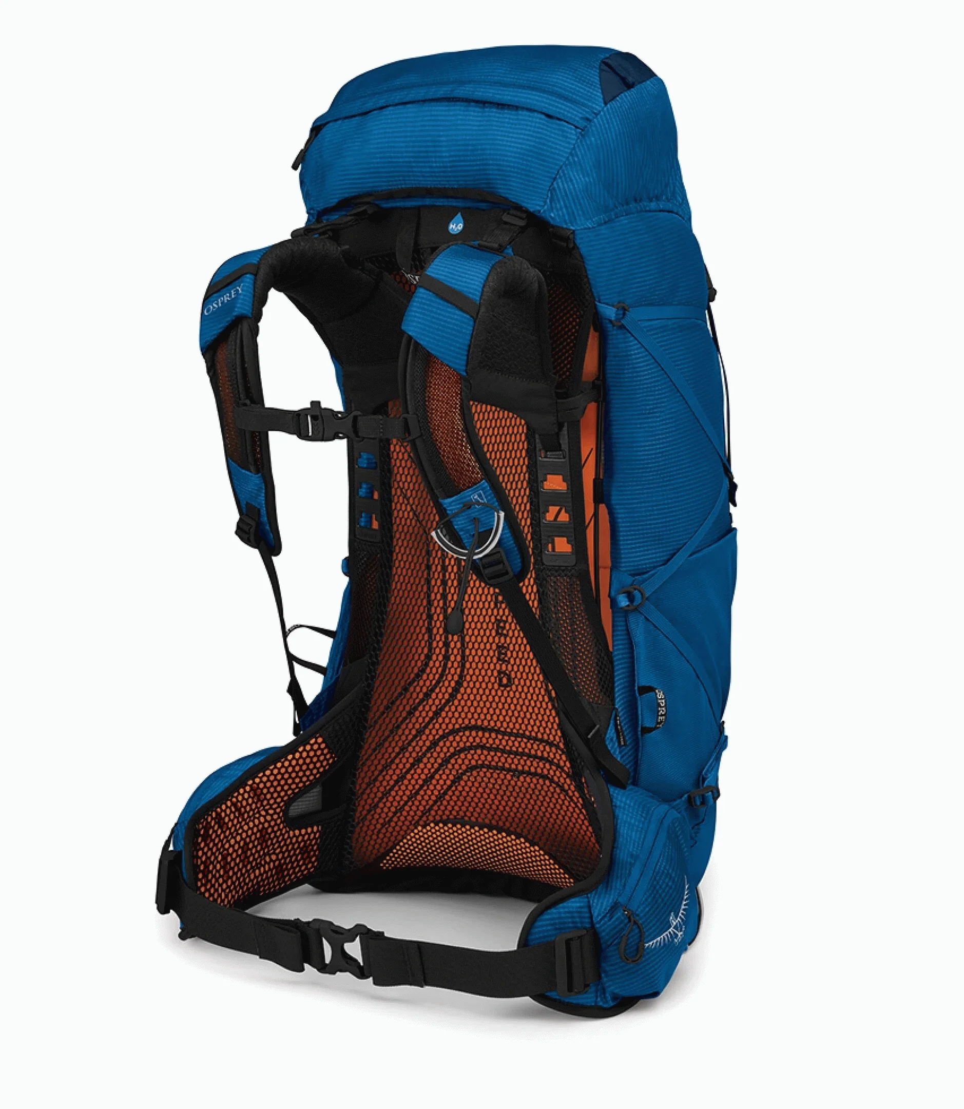 Exos 48 - Image 2