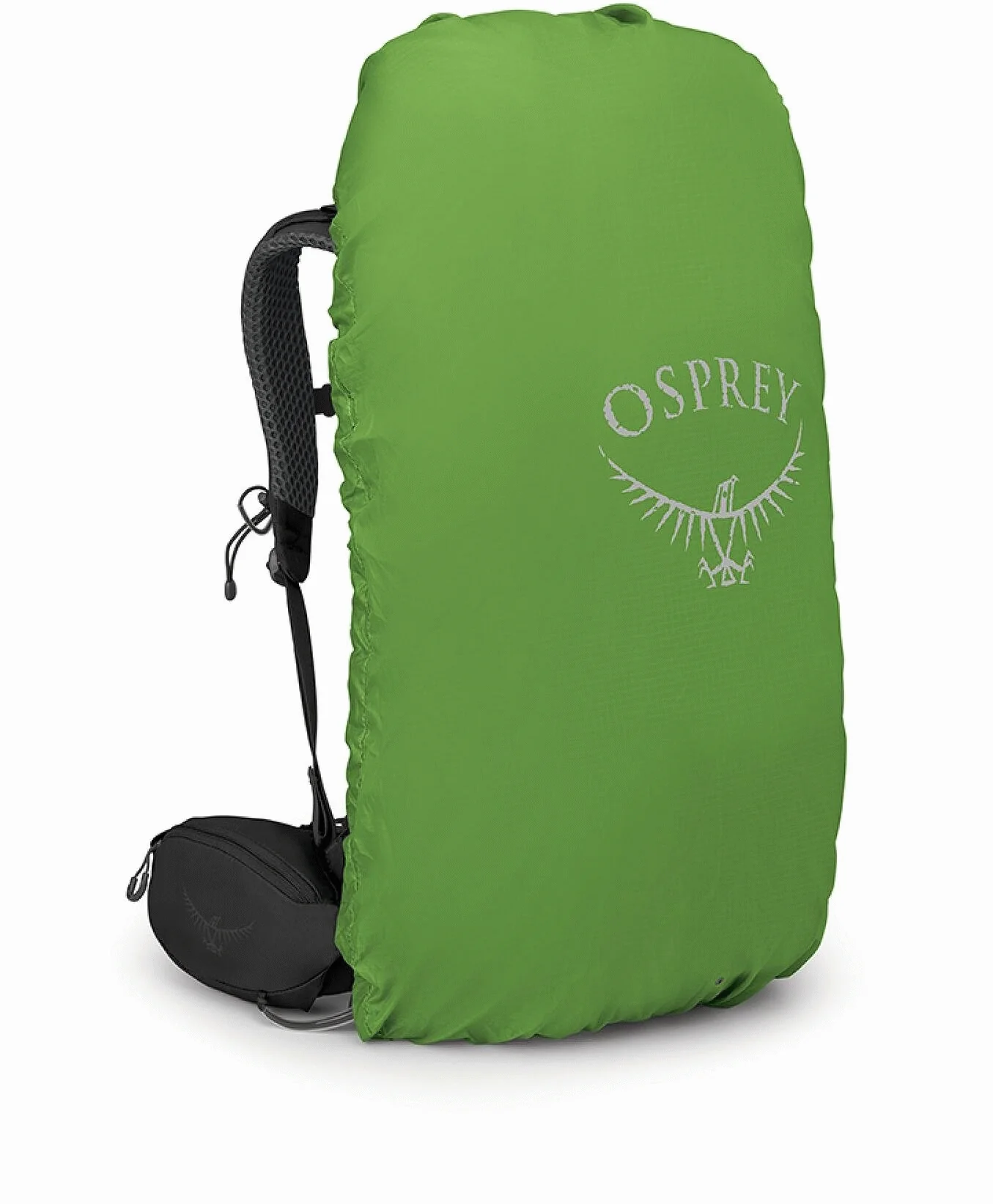 Kestrel 38 - Image 10