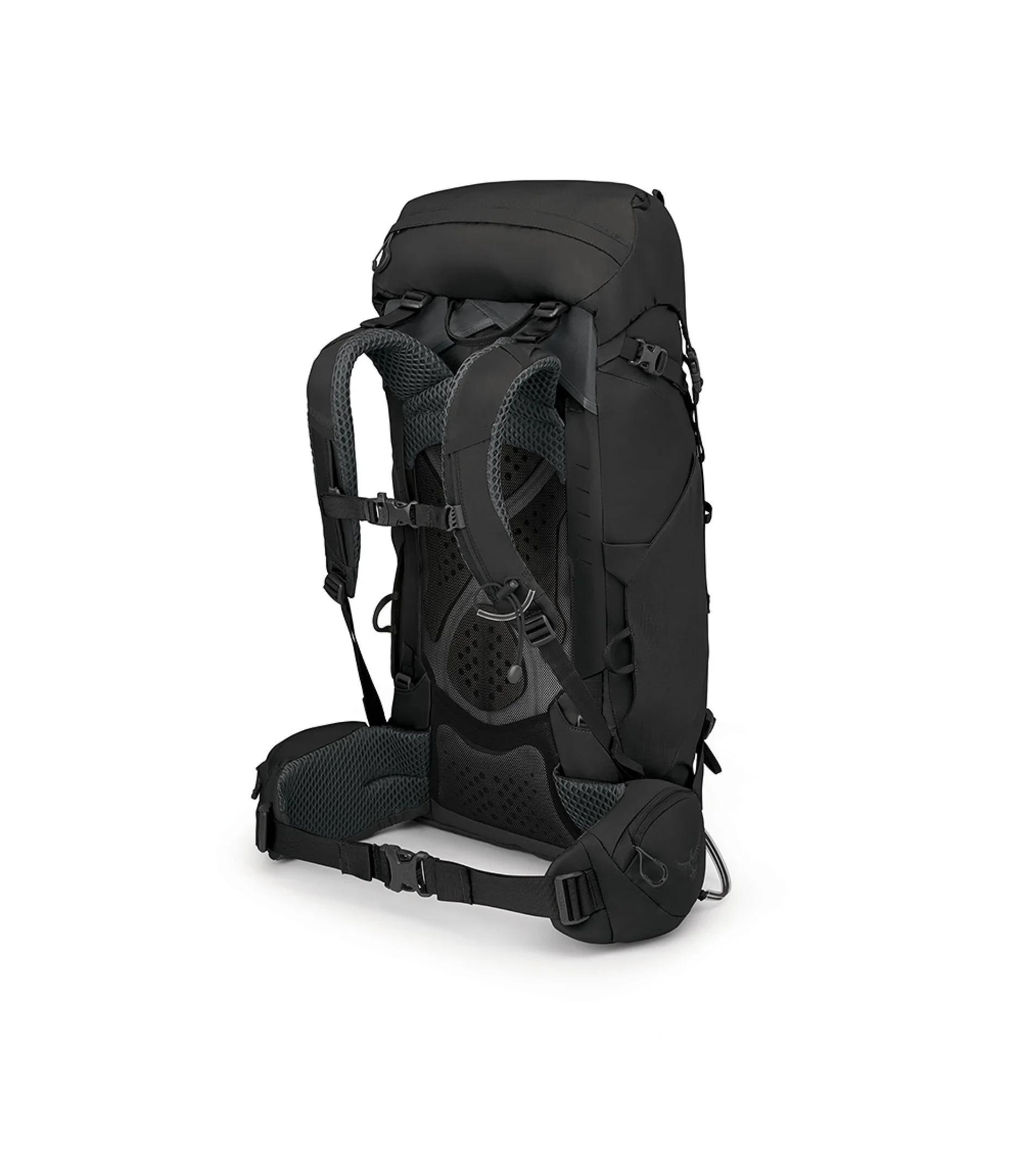 Kestrel 38 - Image 12