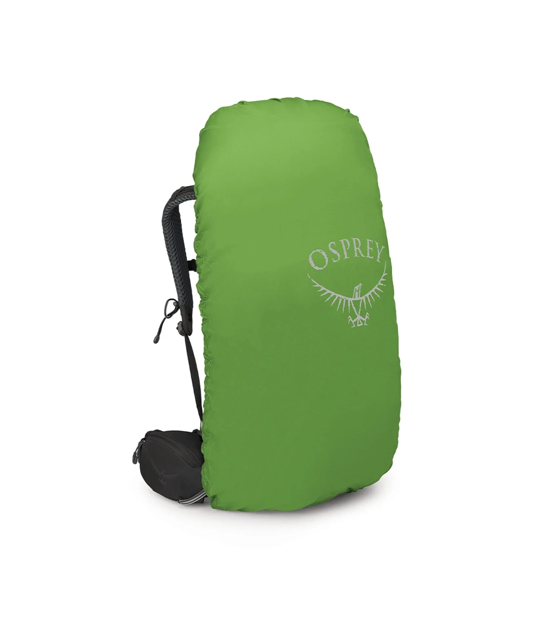 Kestrel 48 - Image 9