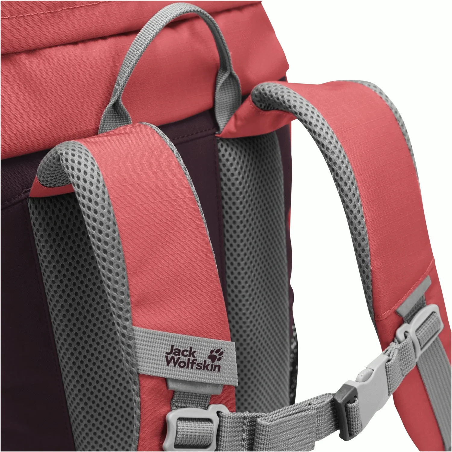 KIDS EXPLORER 20 - Image 8