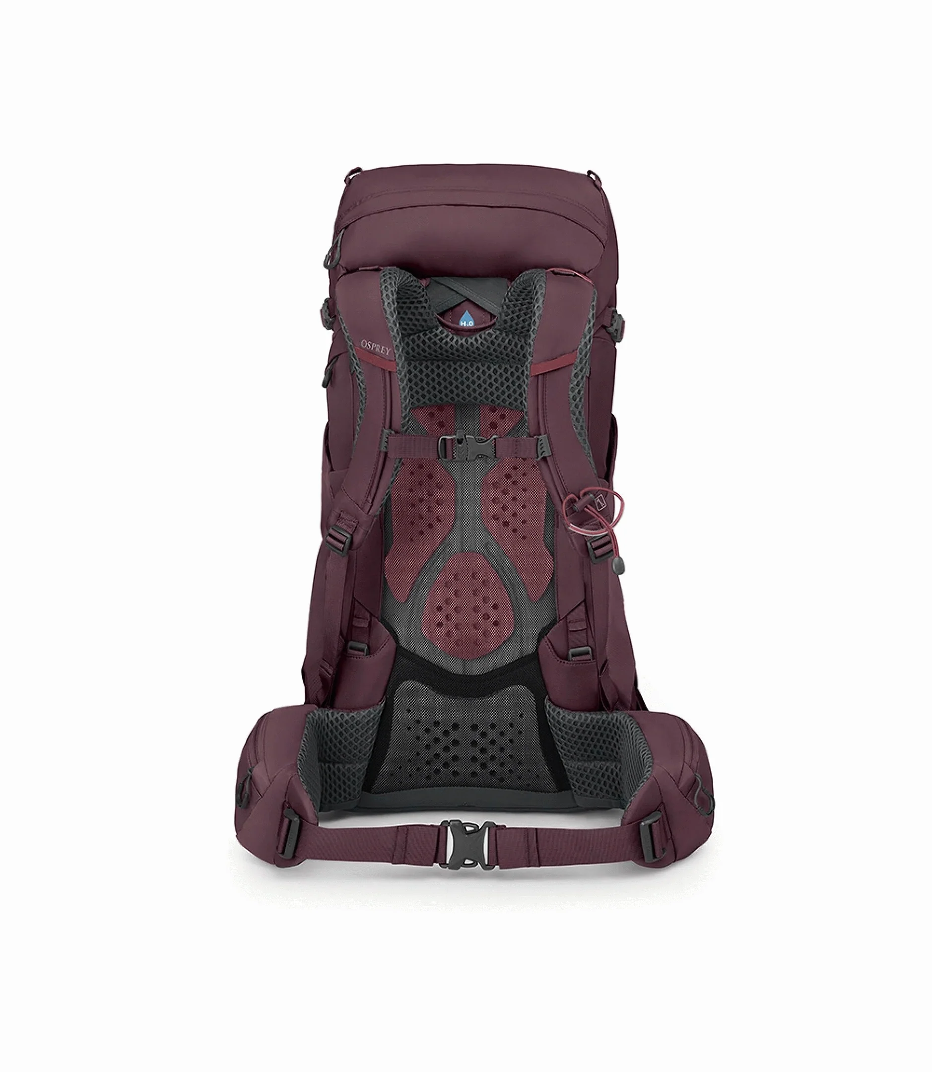 Kyte 38 - Image 9