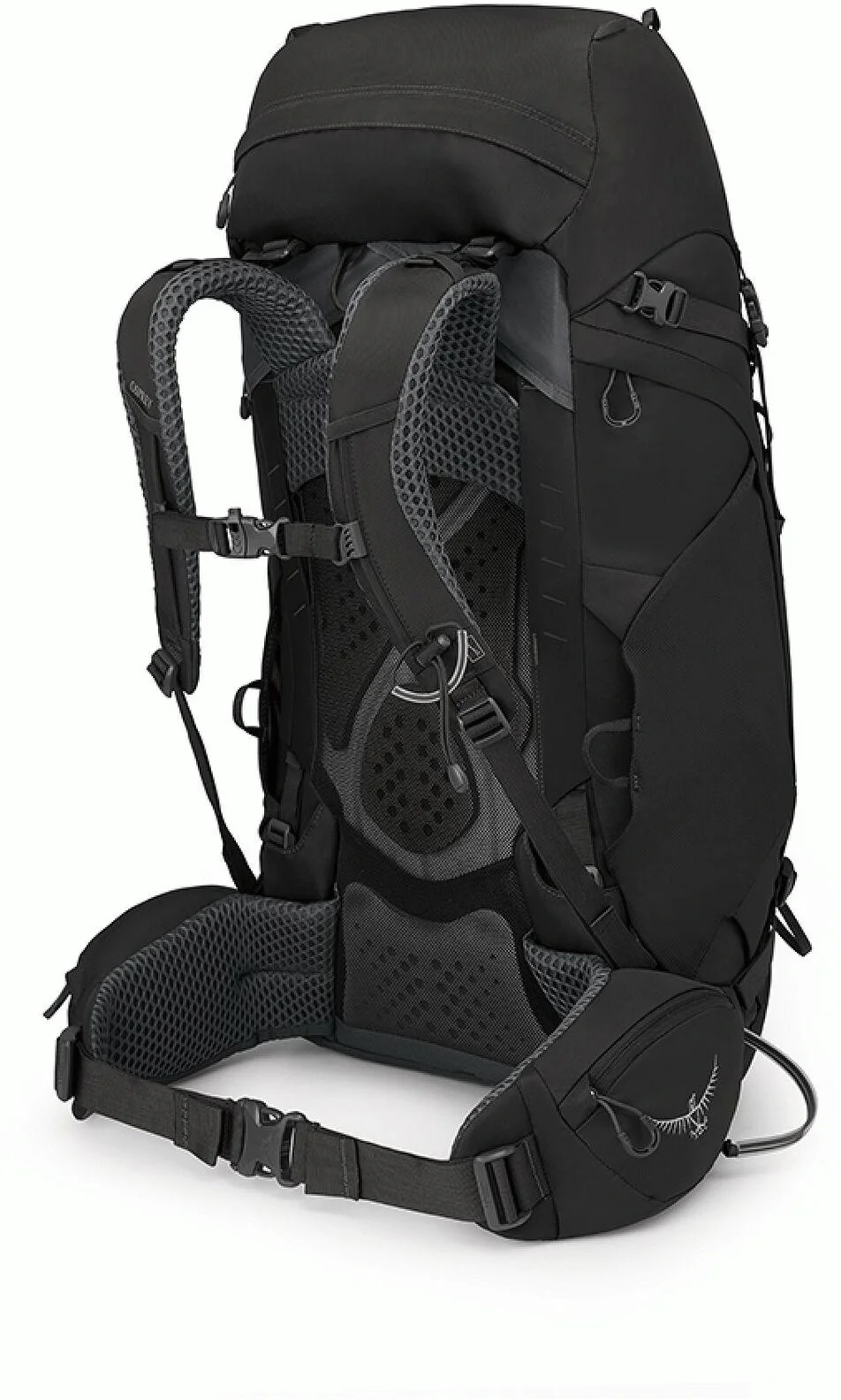 Kyte 48 - Image 2