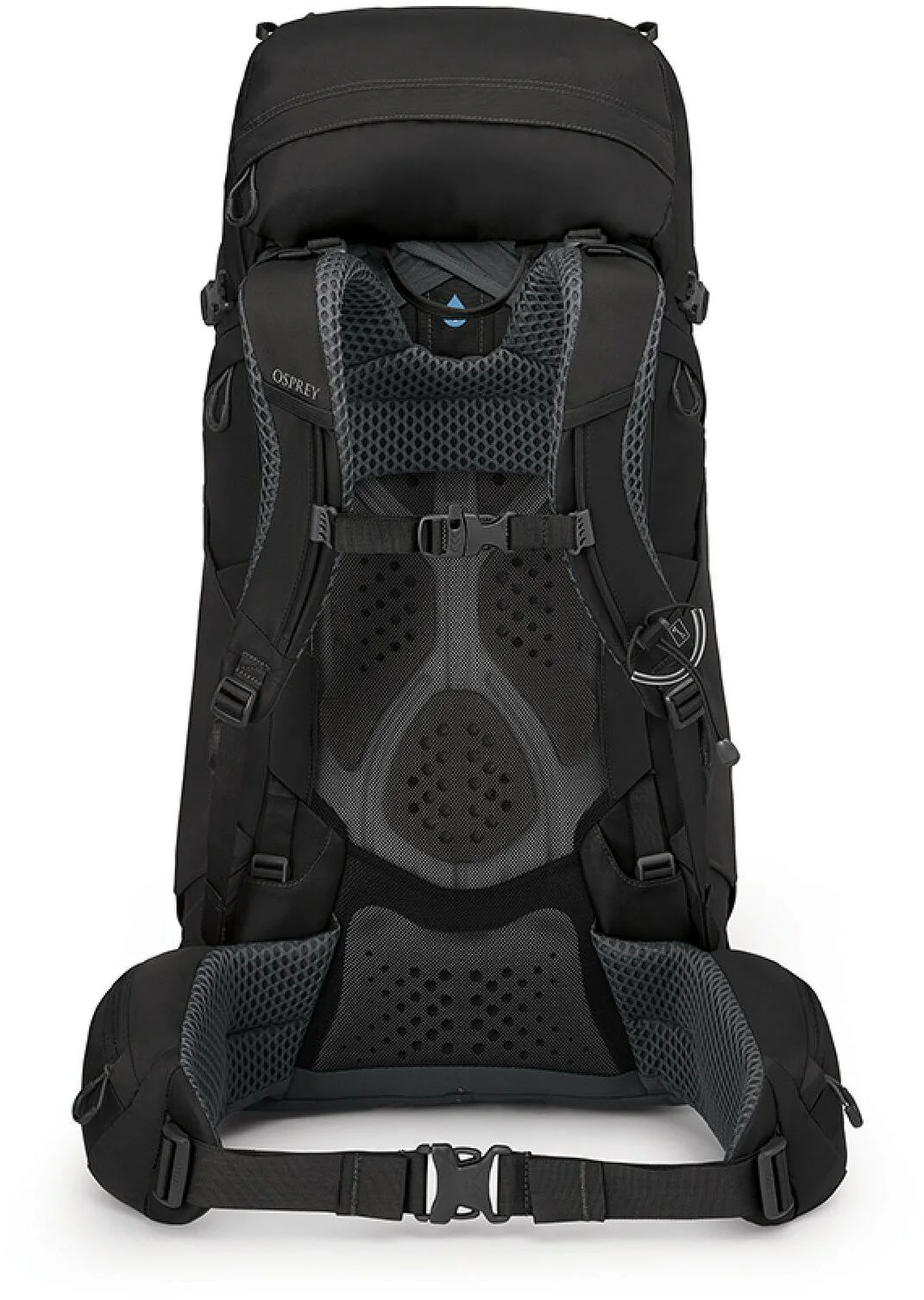 Kyte 48 - Image 3