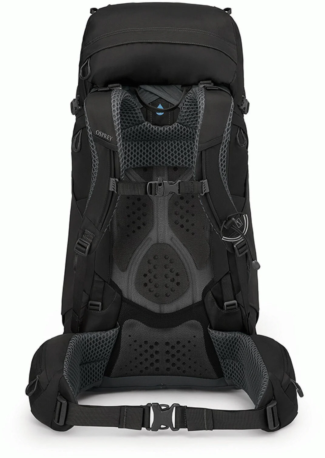 Kyte 48 - Image 9