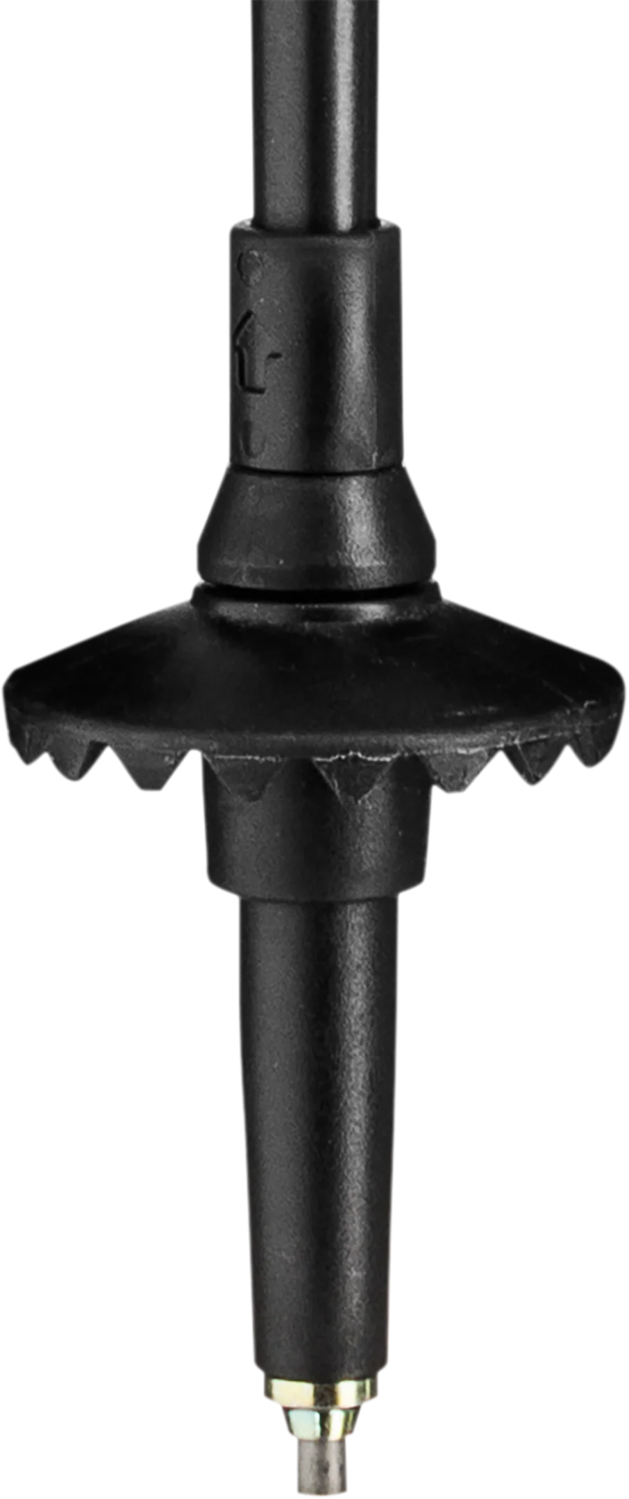 Legacy - Image 4