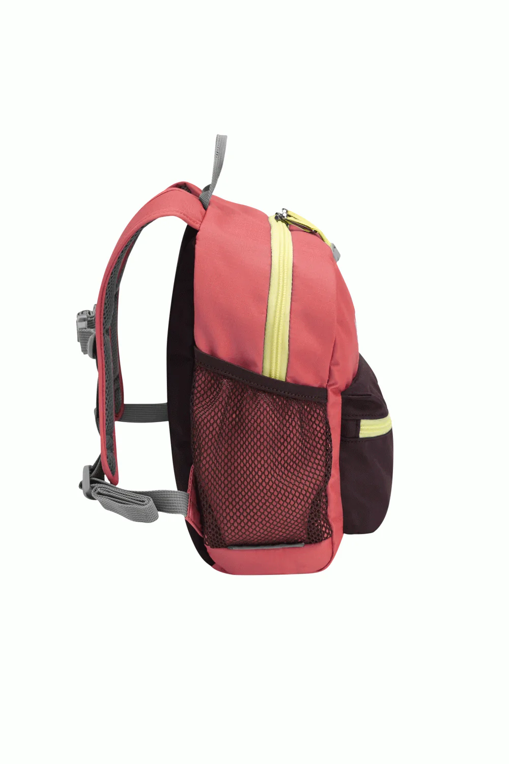 LITTLE SCOUT 10 - Image 12