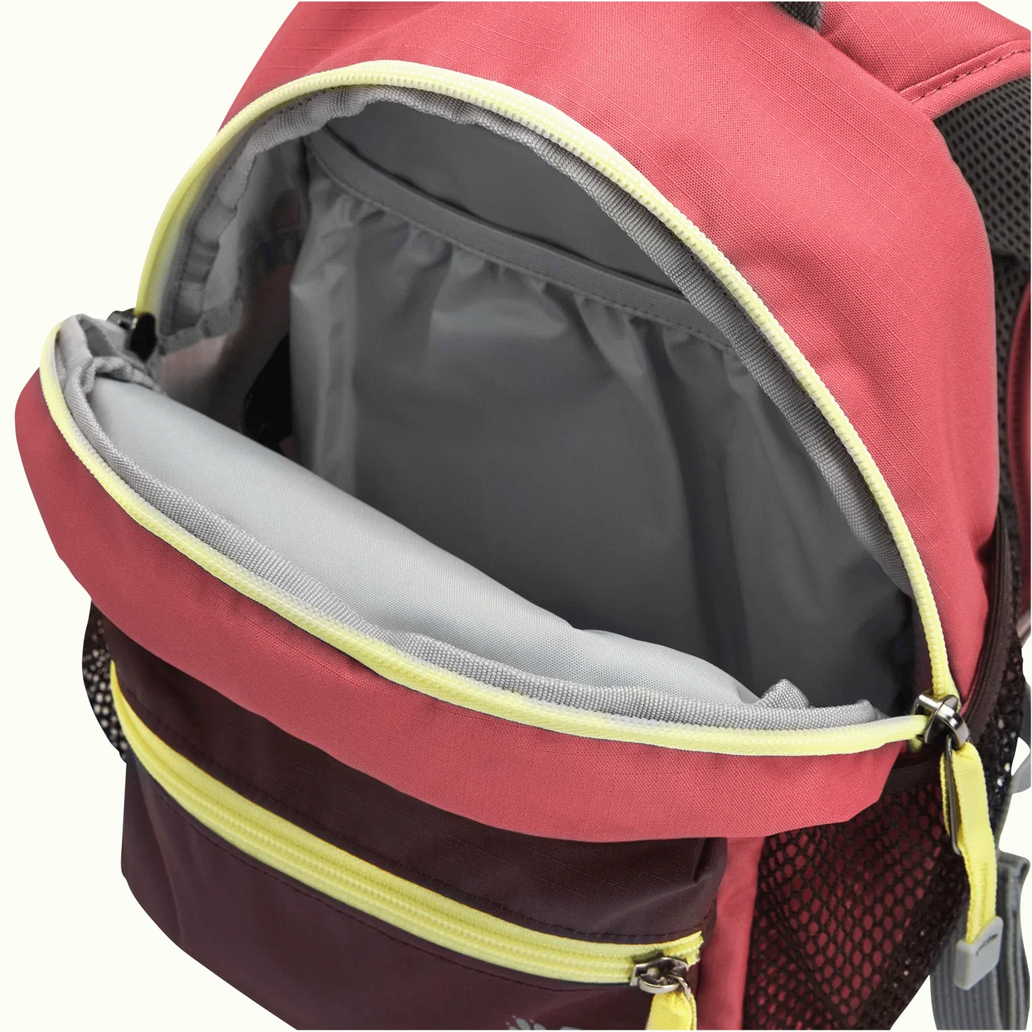 LITTLE SCOUT 10 - Image 6