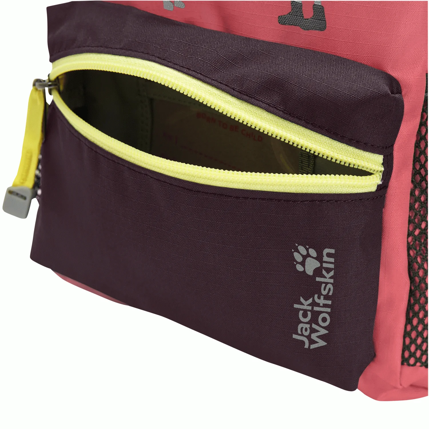 LITTLE SCOUT 10 - Image 8