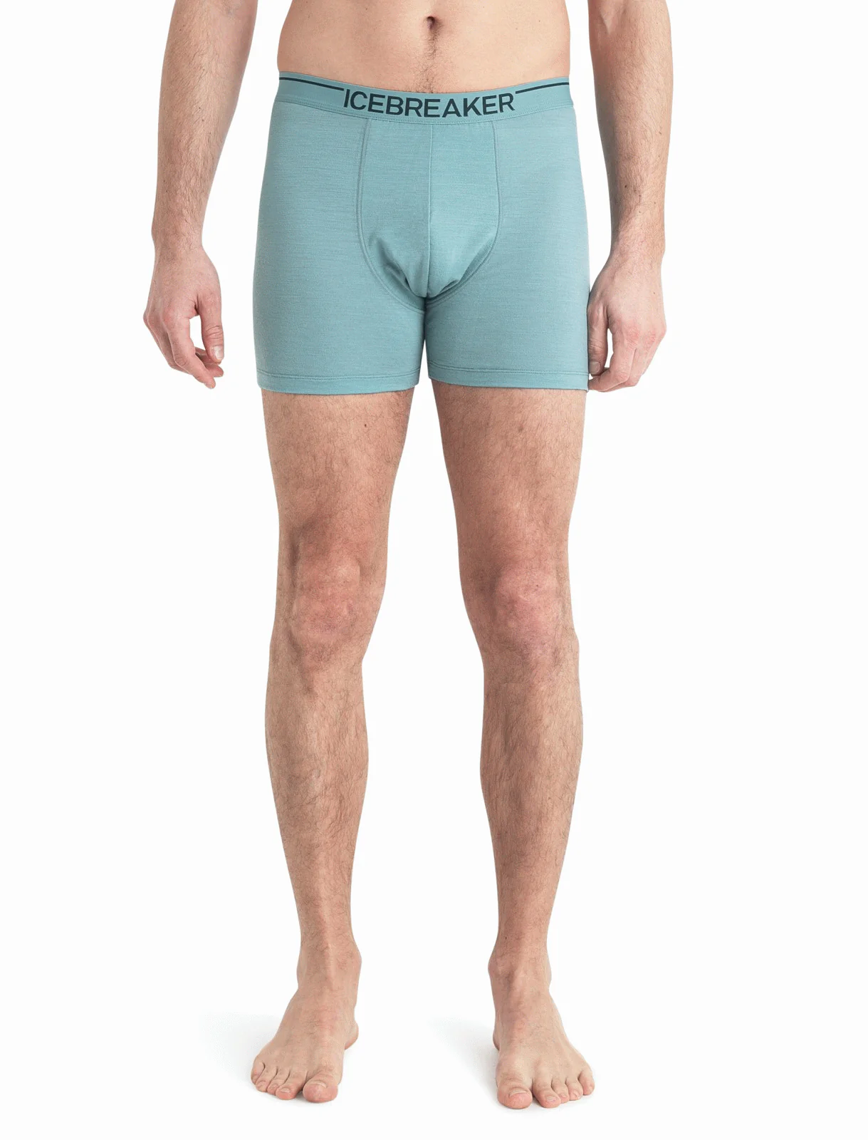 Men Merino 150 Anatomica Boxers - Image 19