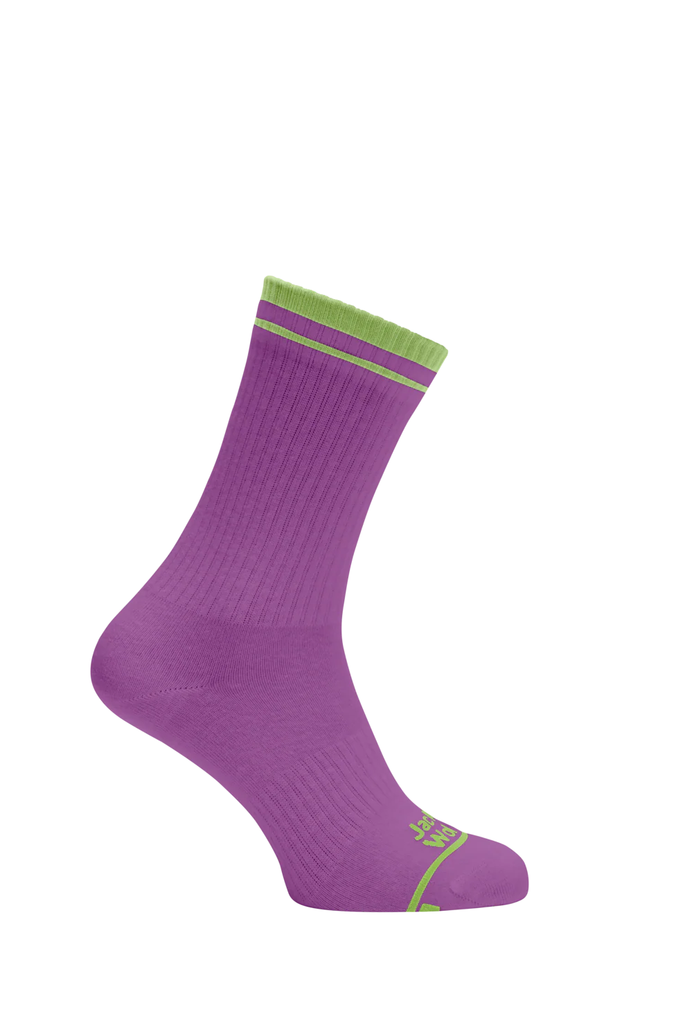 PAW SOCK CL C - Image 4