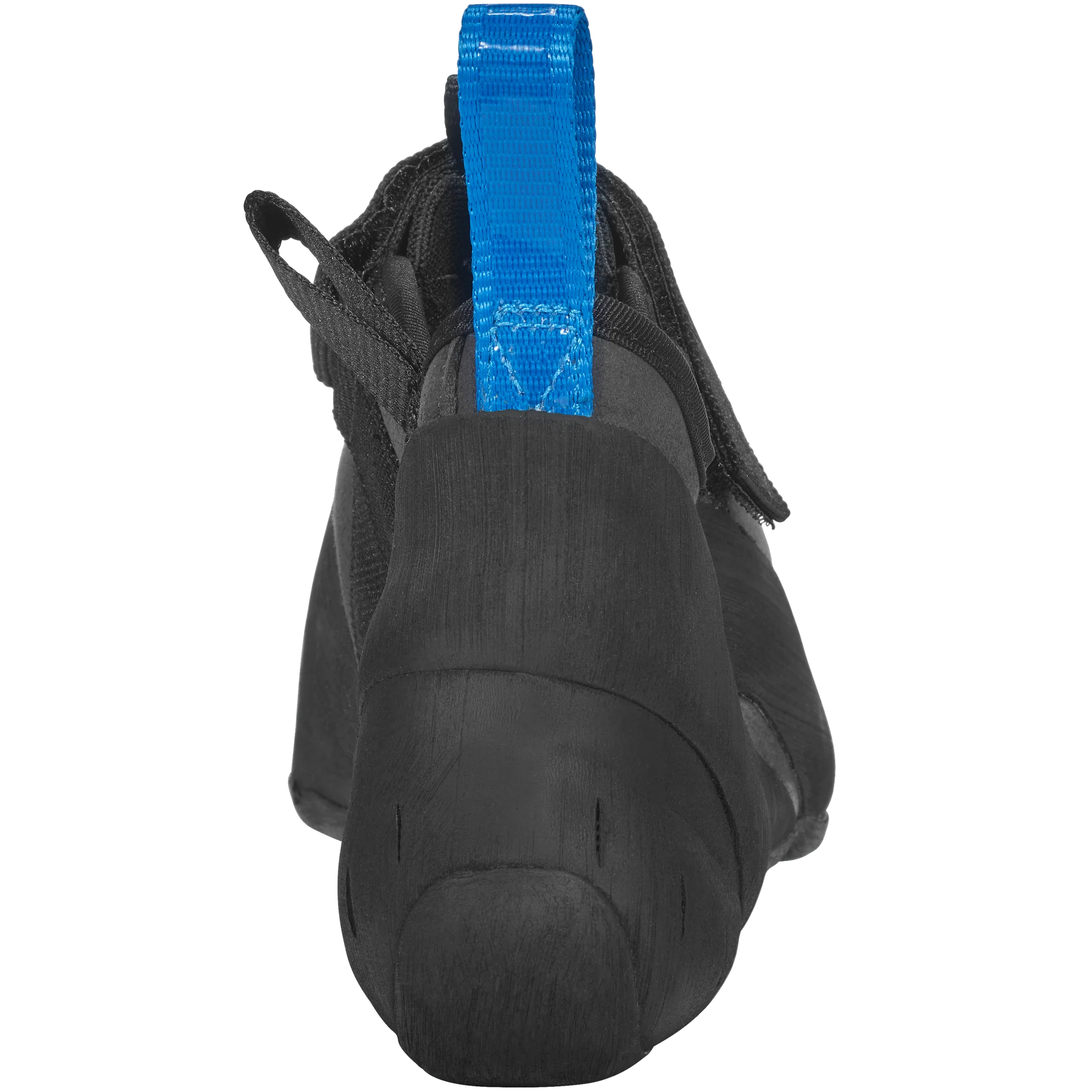 Regulus - Image 3