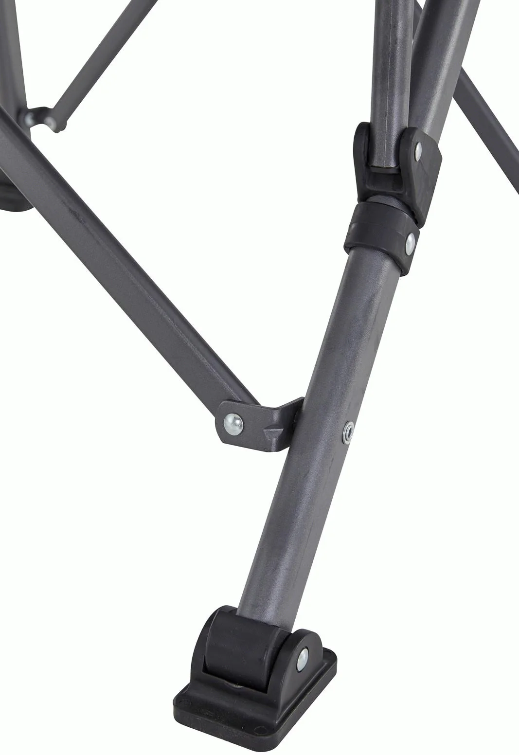 Roxy - Image 8