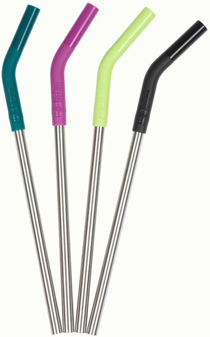 Straw 4Pack