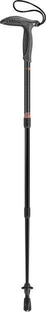 Super Micro