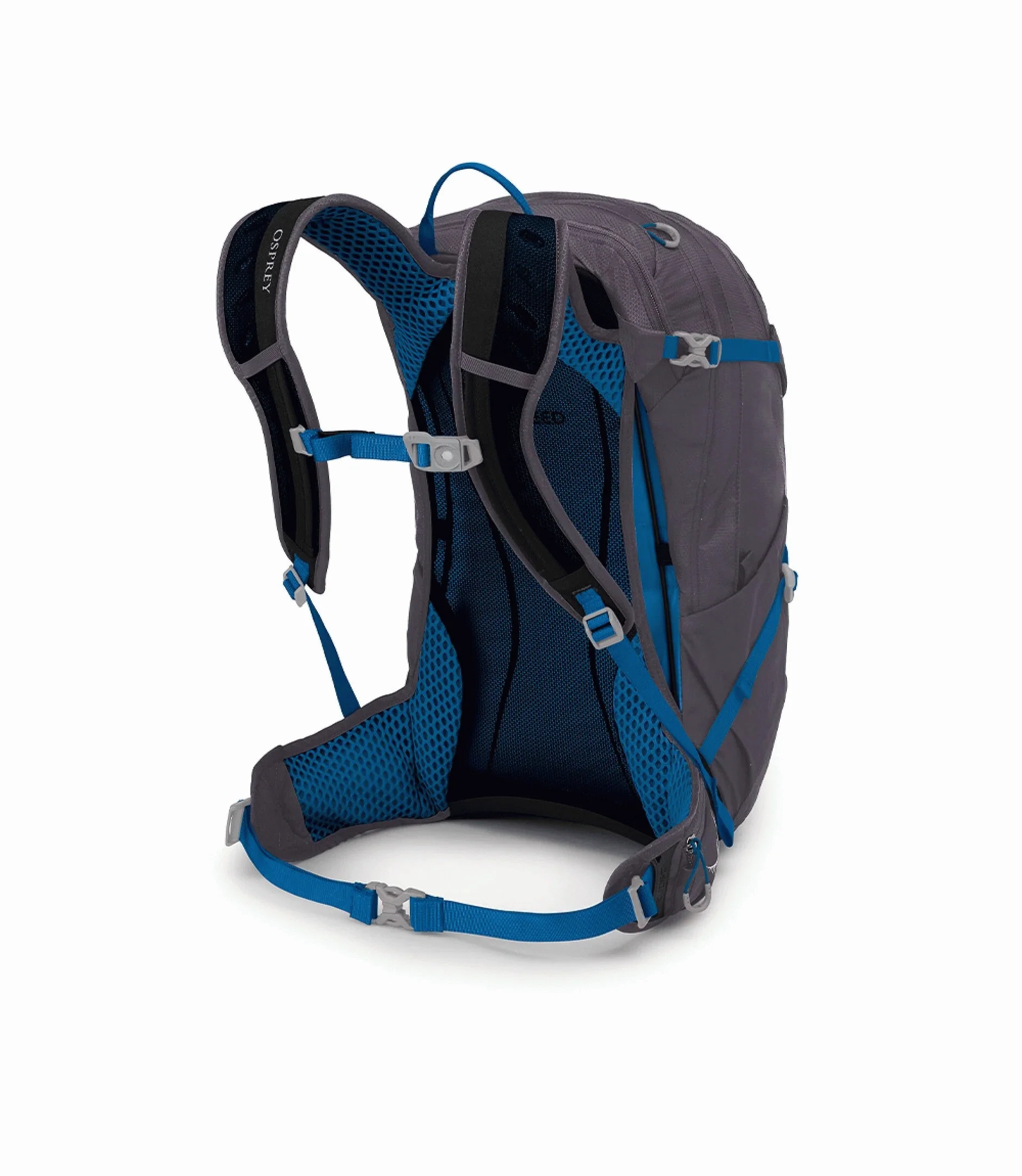 Sylva 20 - Image 2