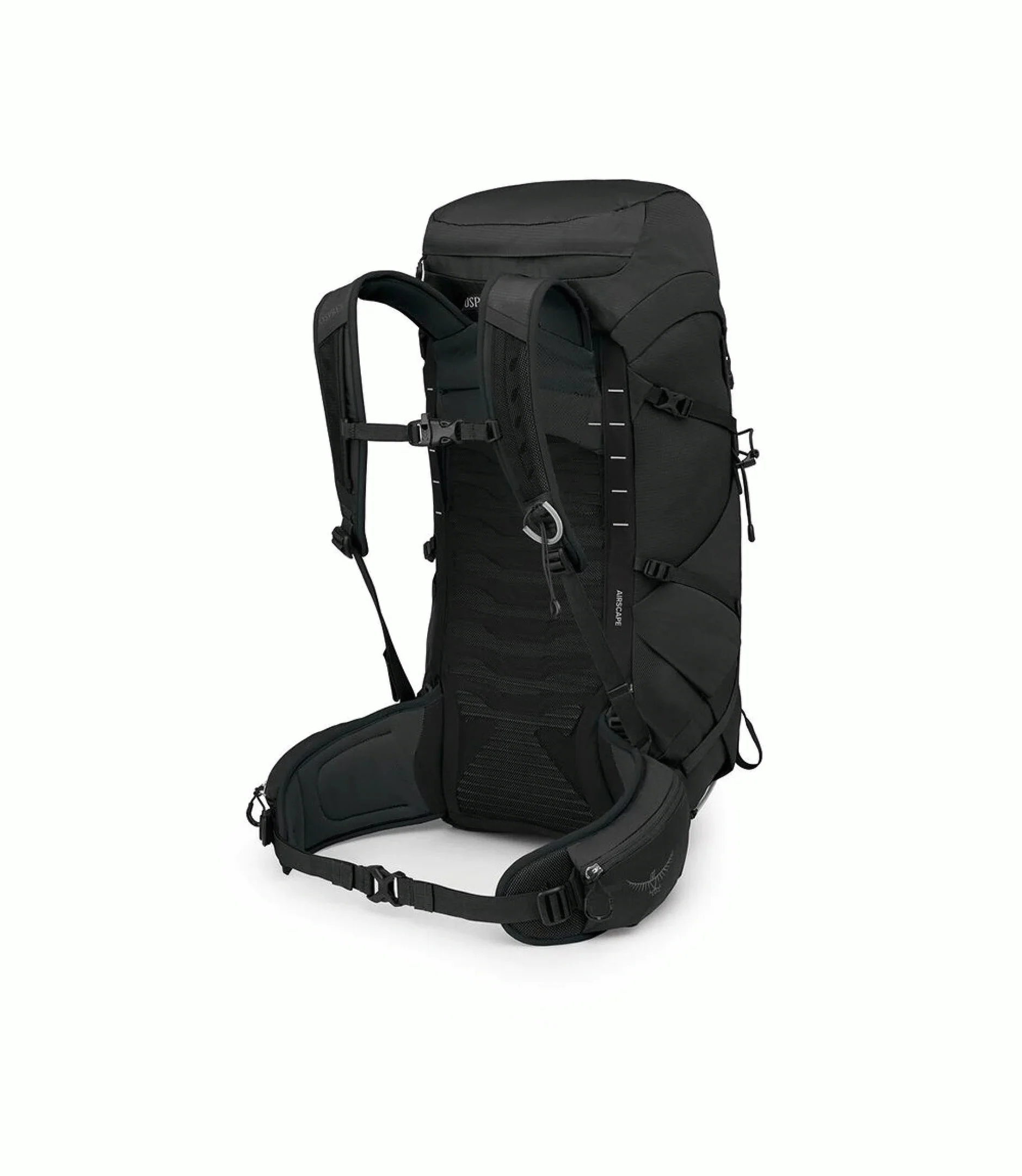 Talon 33 - Image 4