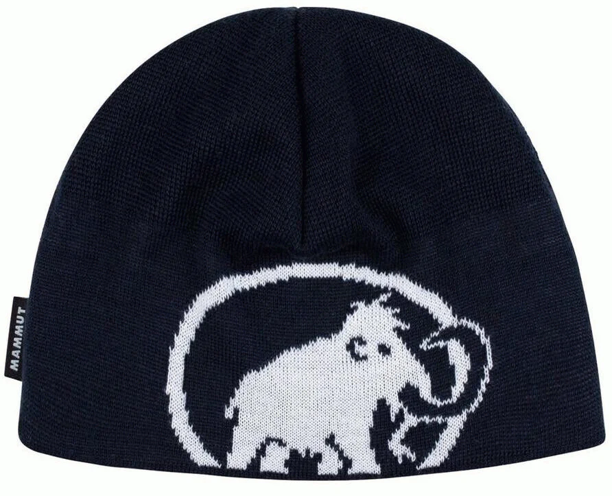 Tweak Beanie