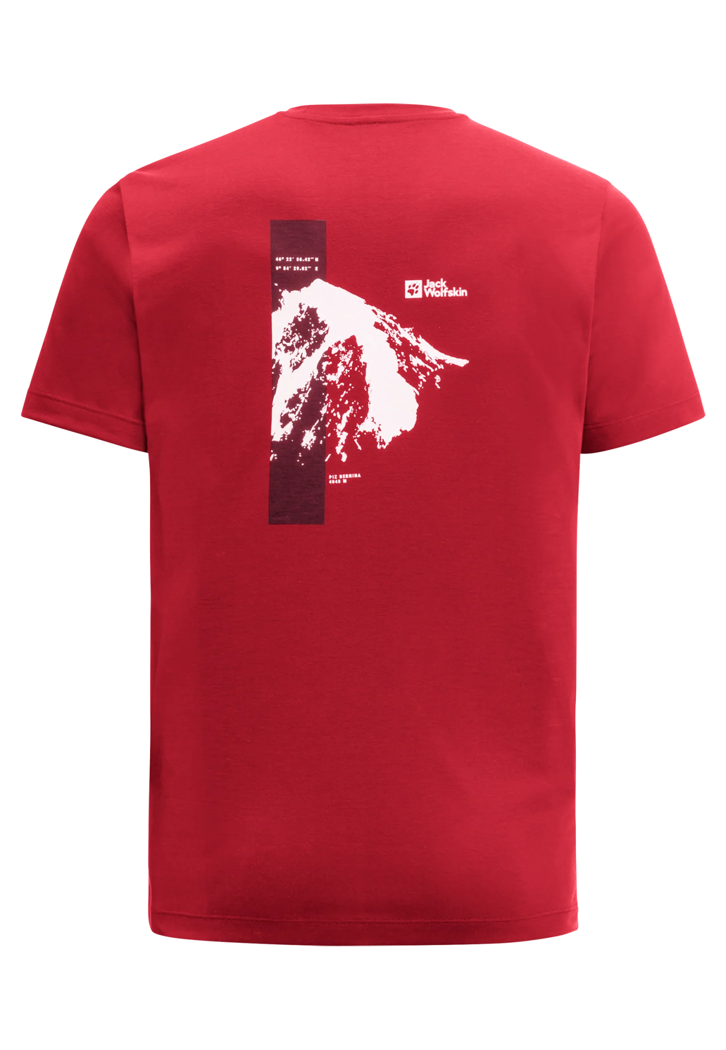 VONNAN S/S GRAPHIC T M - Image 2