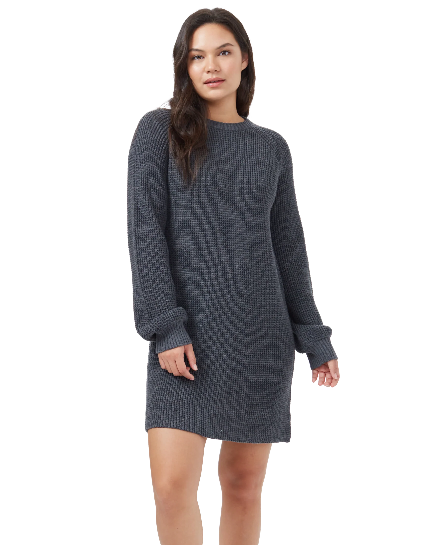 W Highline Crew Neck Dress
